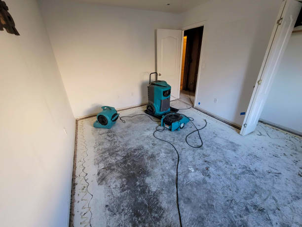 Trusted Floral Park, NY Water damage restoration Experts