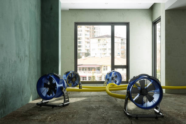 Best Residential water damage restoration  in Floral Park, NY